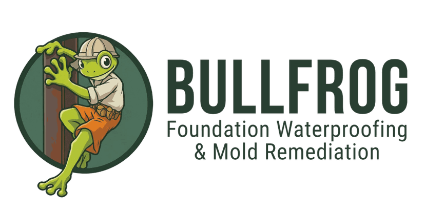Bullfrog Foundation