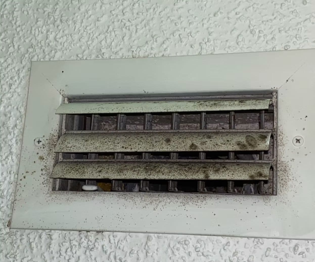 White HVAC air vent cover heavily speckled with black mold spores mounted on a textured white ceiling White HVAC air vent cover heavily speckled with black mold spores mounted on a textured white ceiling