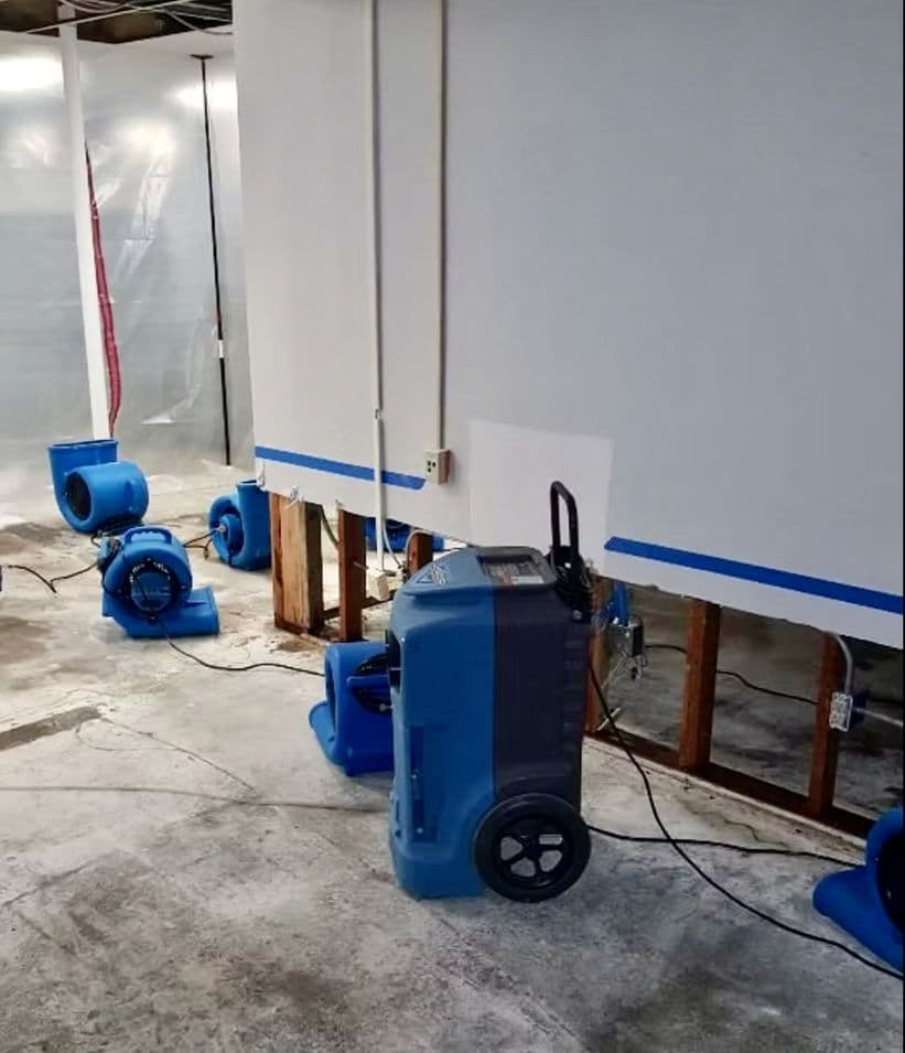 Multiple blue industrial air movers and a large dehumidifier deployed in a gutted room with exposed wooden wall studs and concrete flooring Multiple blue industrial air movers and a large dehumidifier deployed in a gutted room with exposed wooden wall studs and concrete flooring