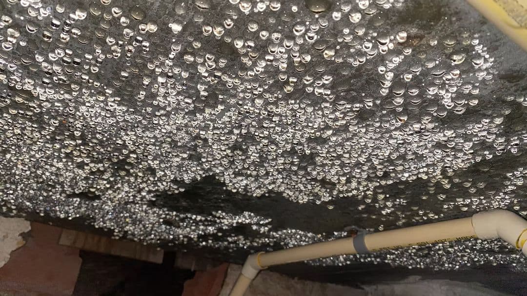 Close-up view of extreme condensation with thousands of large water droplets clinging to the underside of a dark crawlspace subfloor Close-up view of extreme condensation with thousands of large water droplets clinging to the underside of a dark crawlspace subfloor