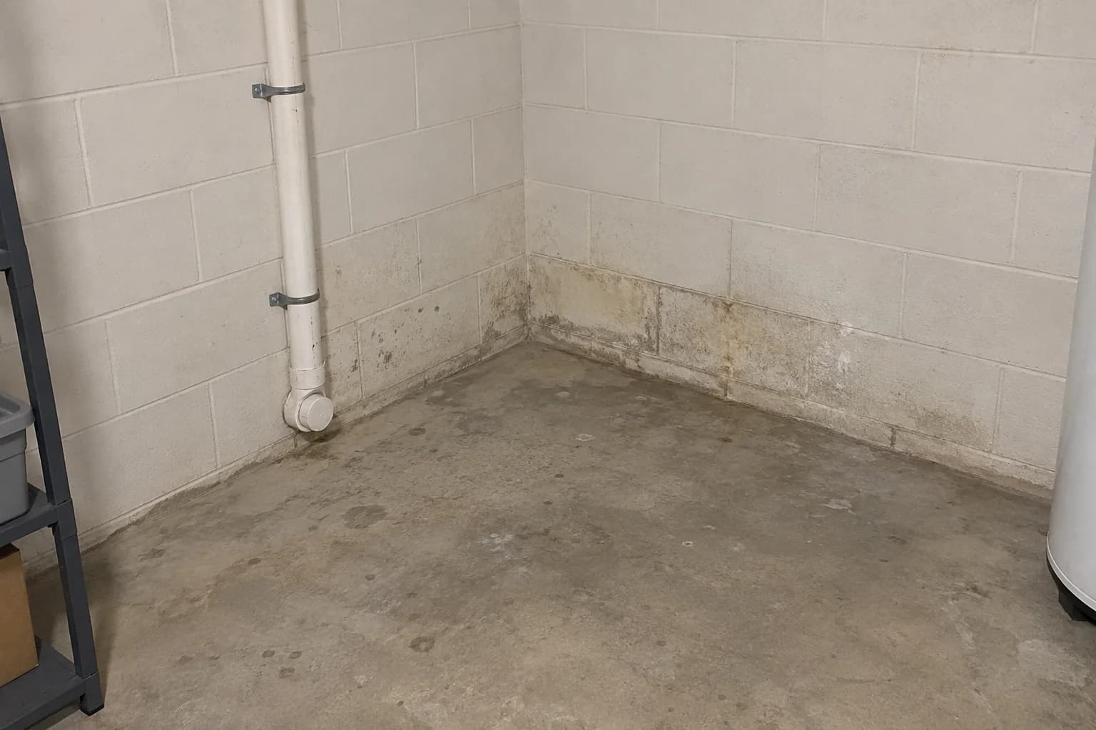 Moisture staining and small mold patches along the bottom of painted basement block walls