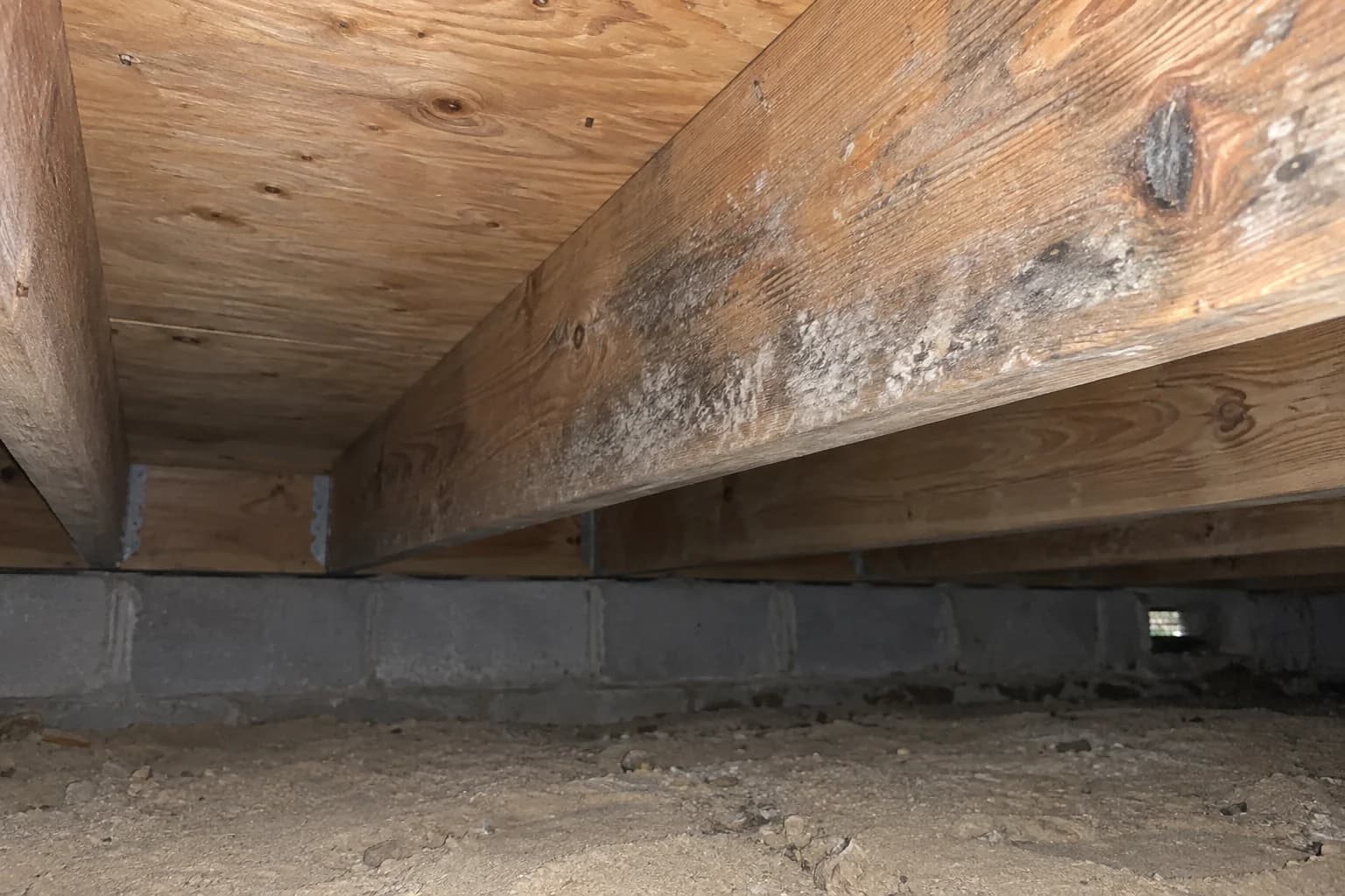 Mildew speckling on a wooden floor joist above sandy ground in a low crawl space