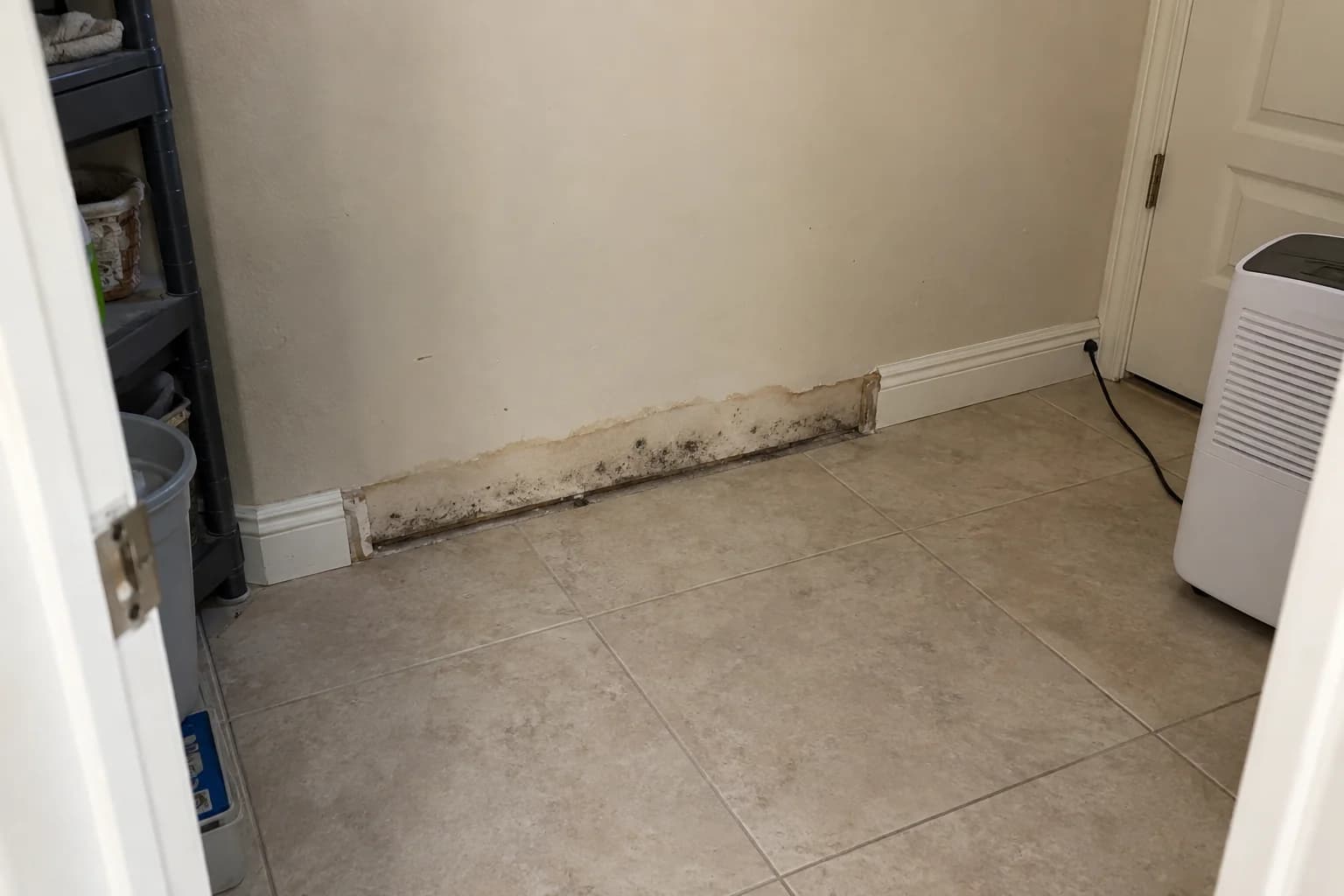 Water staining and scattered mold speckles along a wall with the baseboard removed