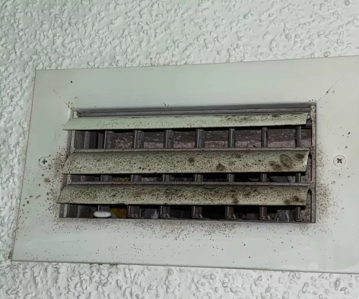 Mold growing on the louvers of an AC supply vent set in a textured ceiling Mold growing on the louvers of an AC supply vent set in a textured ceiling