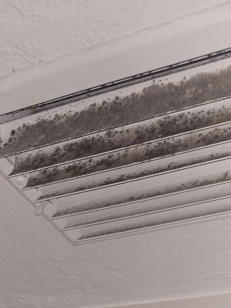 Dark moisture growth discovered across the louvers of an older Florida air vent Dark moisture growth discovered across the louvers of an older Florida air vent