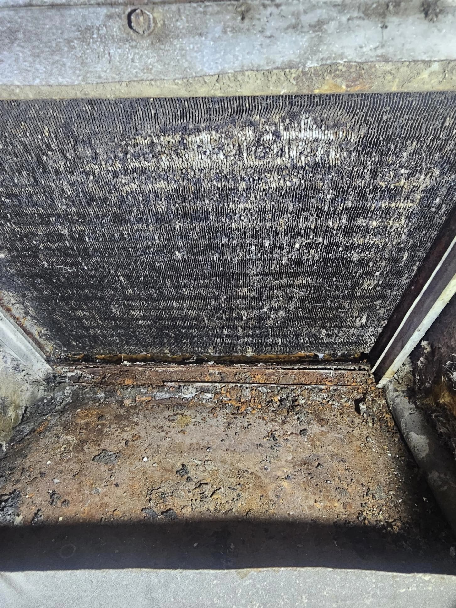 Hidden moisture and dark growth discovered behind an exterior vent during a Florida inspection Hidden moisture and dark growth discovered behind an exterior vent during a Florida inspection