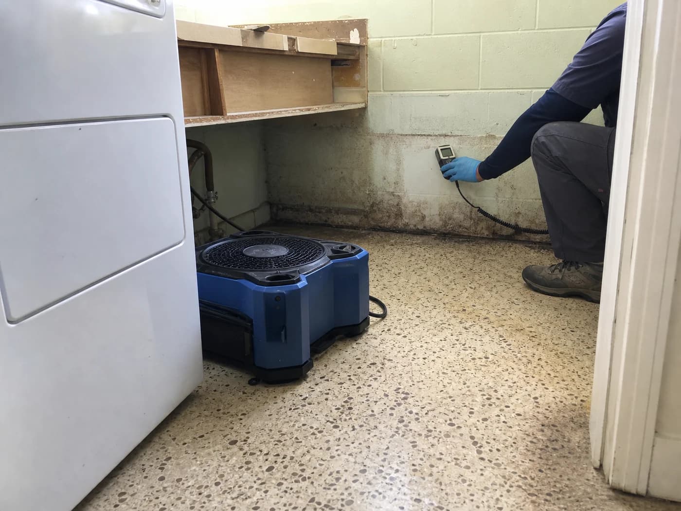 Technician checking moisture beside localized wall staining in an older Sarasota laundry room Technician checking moisture beside localized wall staining in an older Sarasota laundry room