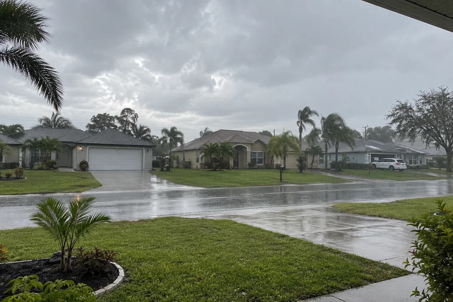 Low gray rain clouds over a residential street with wet pavement and palm trees Low gray rain clouds over a residential street with wet pavement and palm trees