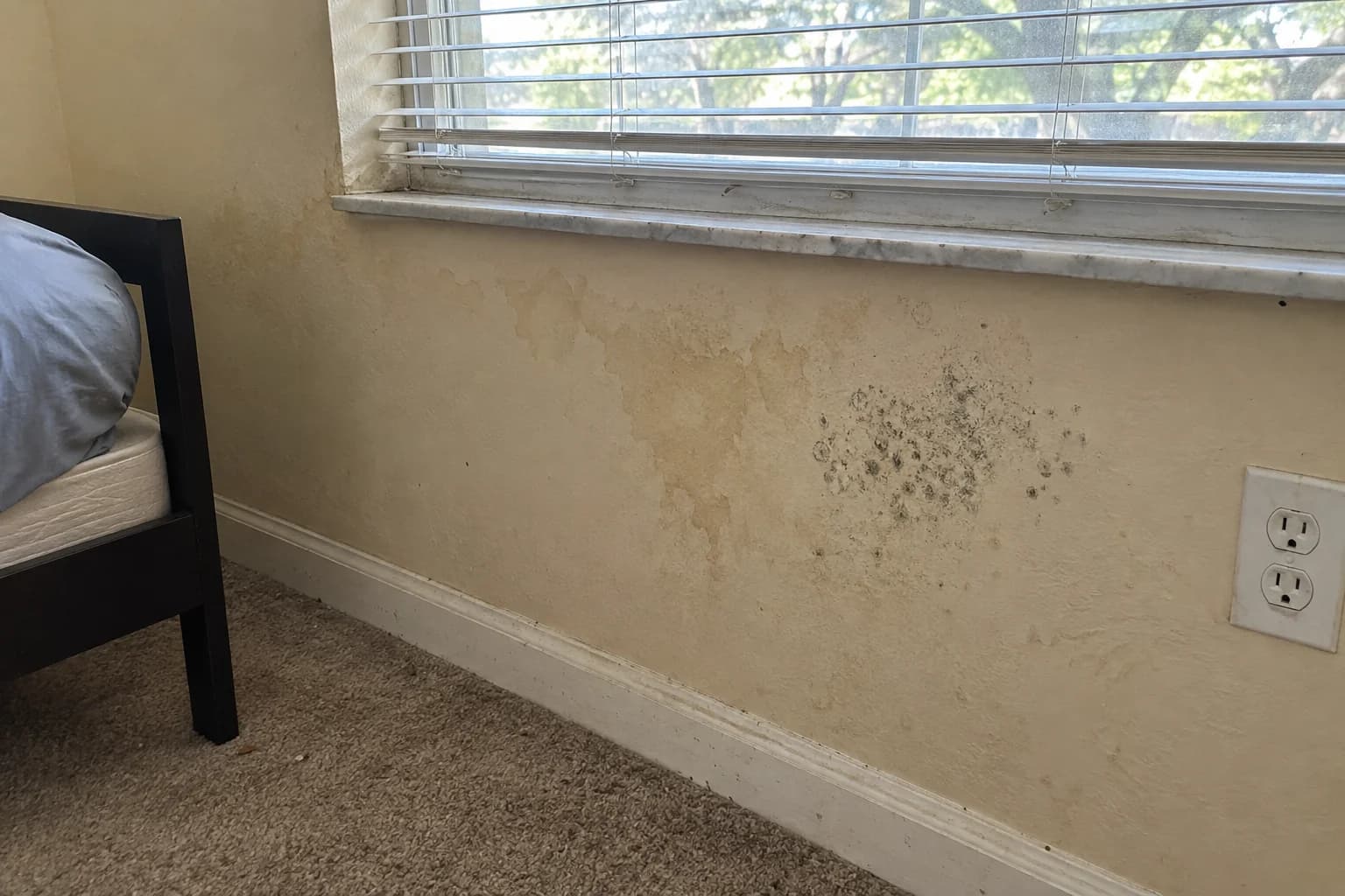 Localized mold speckles and moisture staining below an apartment window Localized mold speckles and moisture staining below an apartment window